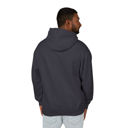 Riders On The Storm Lightweight Hooded Sweatshirt